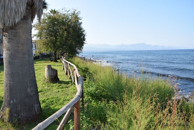 Scenic view of landscape