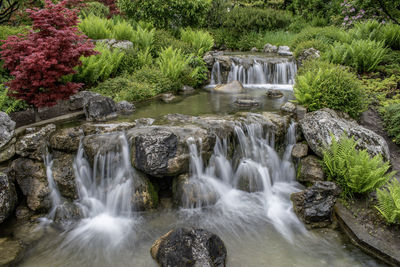 Scenic view of waterfall in forest