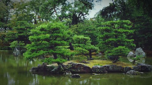 Scenic view of lake by trees against sky