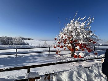 Bare tree on snow covered field against clear blue sky