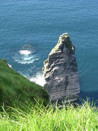 High angle view of grass by sea