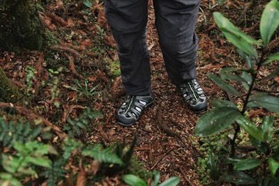 Low section of man standing on field in forest