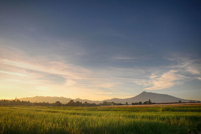 Scenic view of field against sky during sunset