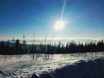 Scenic view of trees against clear sky