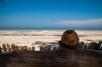 Rear view of wood on beach against sky