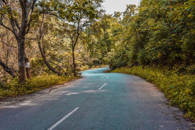 Road amidst trees in forest during autumn