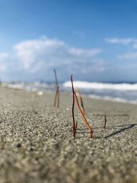 Surface level of sand on beach against sky