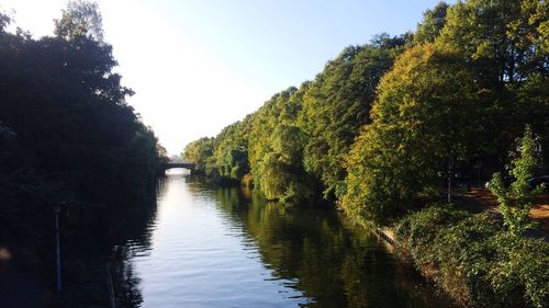 River amidst trees against clear sky