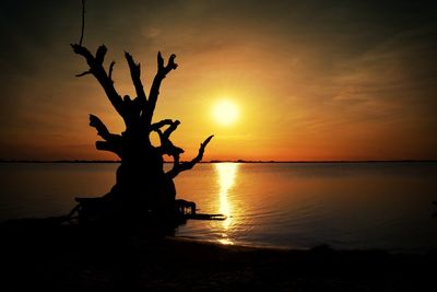 Silhouette bare tree by sea against sky during sunset