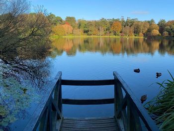 Scenic view of lake by trees against sky