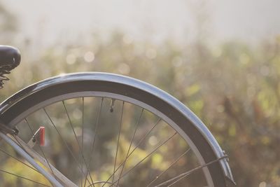 Close-up of bicycle tire