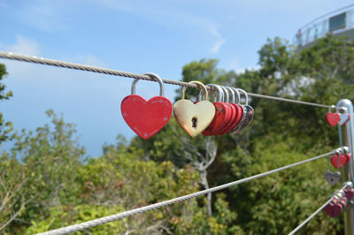Close-up of padlocks on rope against trees