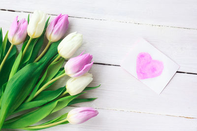 Close-up of pink tulip flowers on table