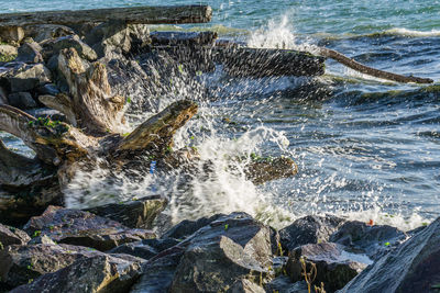 Whitewater flies up as wave hit shore on the puget sound.