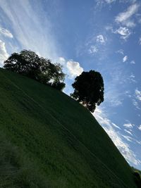 Low angle view of trees on field against sky