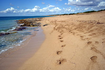 Fingerprints on the sand