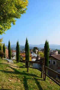 Trees and houses on field against clear blue sky