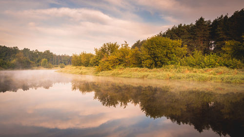 Reflection of trees in lake against sky