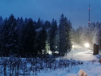 Trees on snow covered field against sky at night