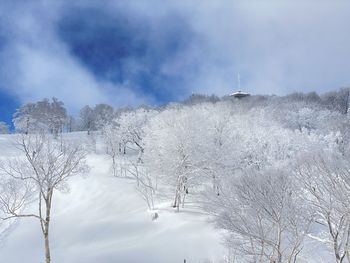 Bare trees on snow covered land against sky