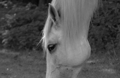 Close-up of man looking away