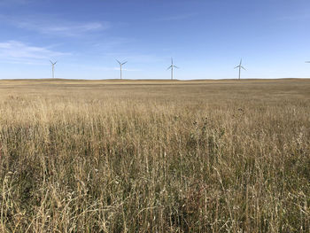 Wind farm and tall wheat grass