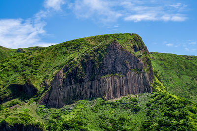 Scenic view of green landscape against sky