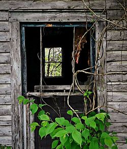 Exterior of old house