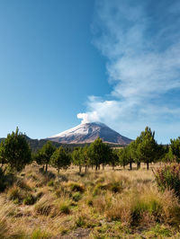 Scenic view of landscape against blue sky