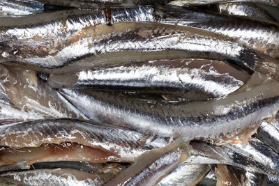 Full frame shot of anchovies