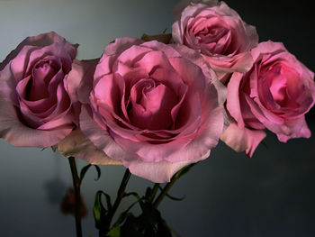 Close-up of rose bouquet