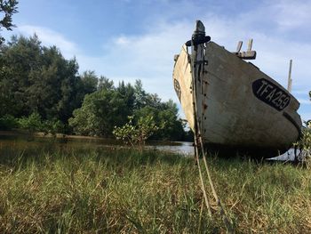 Boat moored on grass by trees against sky