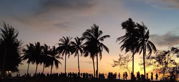 Silhouette palm trees against sky during sunset