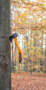 Axe stuck in wood