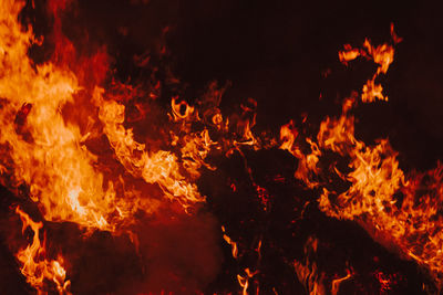 Close-up of bonfire at night