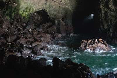 Rock formations in sea