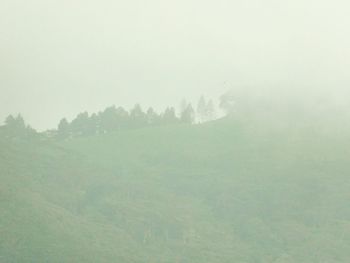 Scenic view of fog in foggy weather
