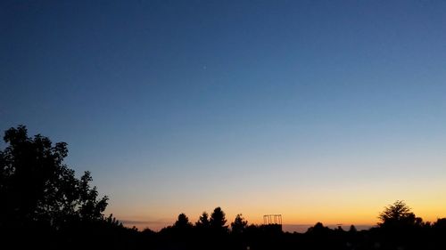 Silhouette of trees at sunset