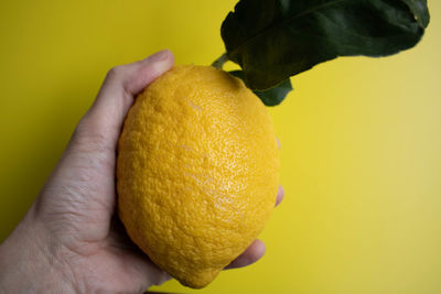 Close-up of hand holding apple against yellow background