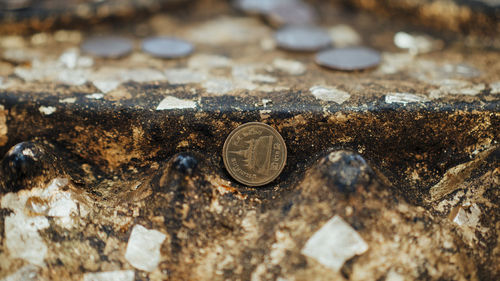 Close-up of coins on rock