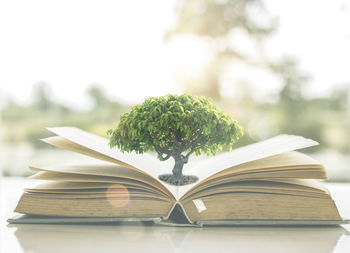 Close-up of open book on table