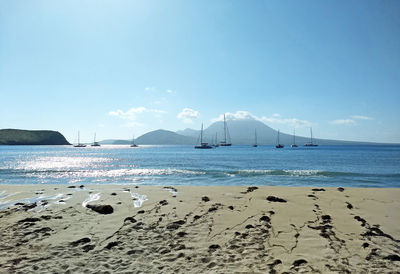 Scenic view of beach against sky