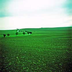 Scenic view of grassy field against cloudy sky