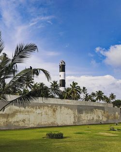 Palm trees on field against sky