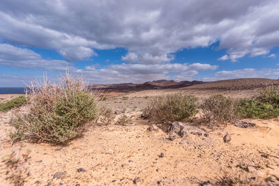 Scenic view of land against sky