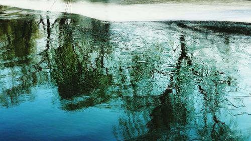 Reflection of trees in water