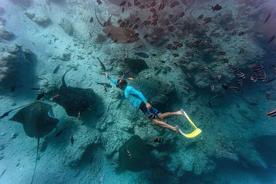 Man swimming amidst school of fish in sea