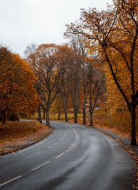 Road amidst trees against sky during autumn