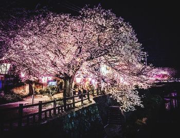 Illuminated lamp post at night