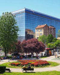 Park by modern buildings against sky in city